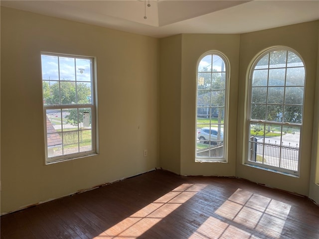 empty room featuring light hardwood / wood-style flooring