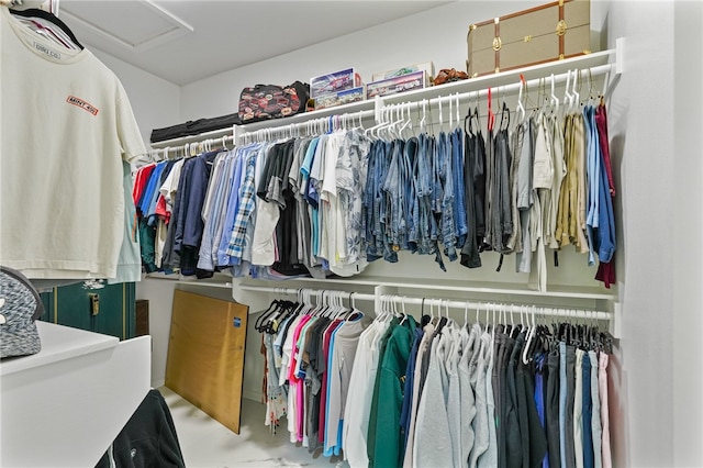 view of walk in closet