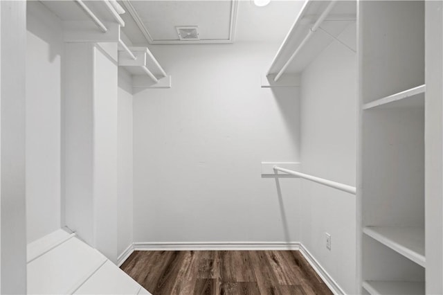 walk in closet featuring dark wood-style floors