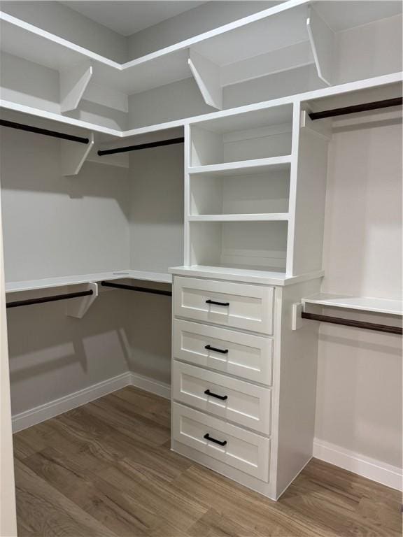 spacious closet with light wood-style flooring