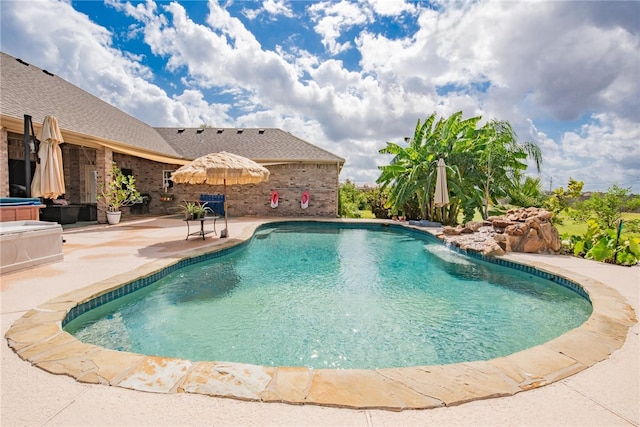 view of pool with a patio