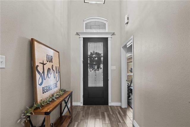 entrance foyer featuring dark wood-type flooring