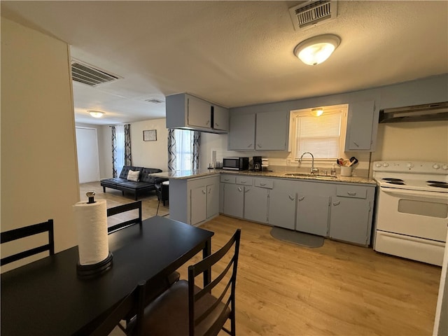 kitchen with gray cabinetry, sink, electric range, light hardwood / wood-style flooring, and range hood