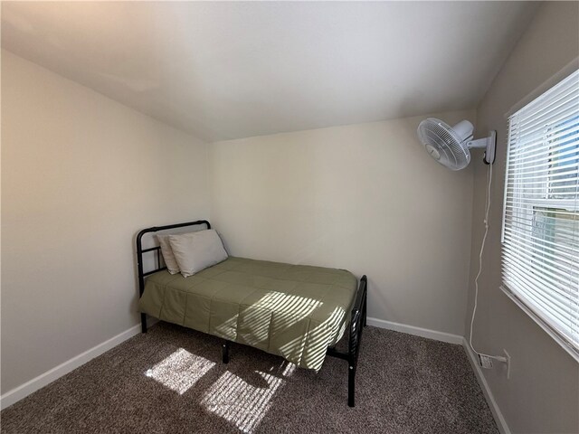 bedroom featuring carpet floors