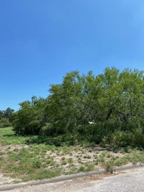 Listing photo 2 for 0 W Main St, Alice TX 78332