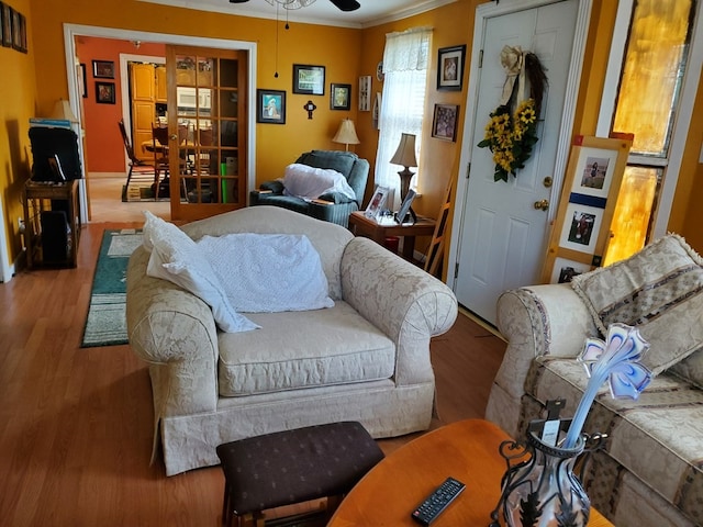 living room featuring hardwood / wood-style floors, ceiling fan, and crown molding