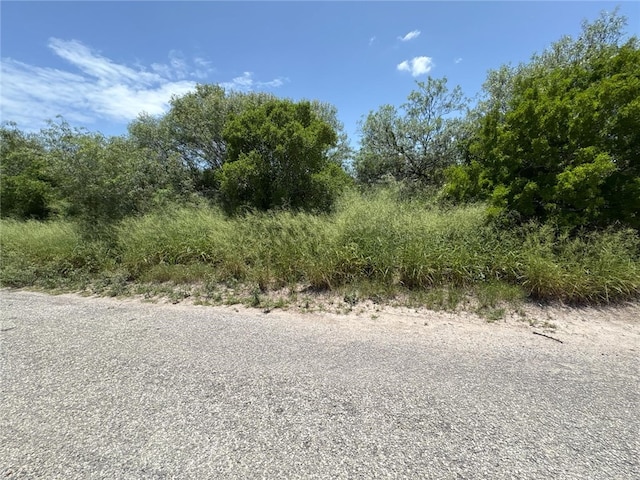 6681 County Road 18, Bishop, TX 78343