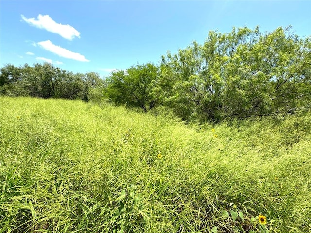 6681 County Road 18, Bishop, TX 78343