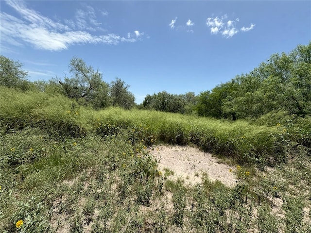 6681 County Road 18, Bishop, TX 78343