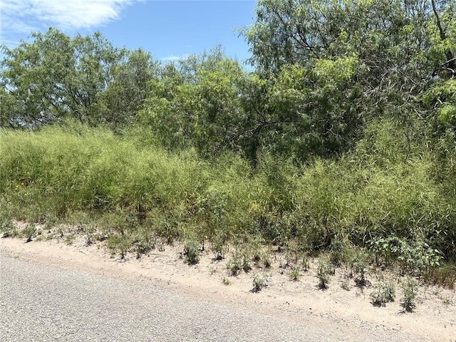 6681 County Road 18, Bishop, TX 78343