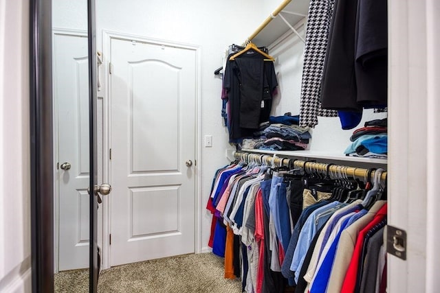 walk in closet featuring carpet floors