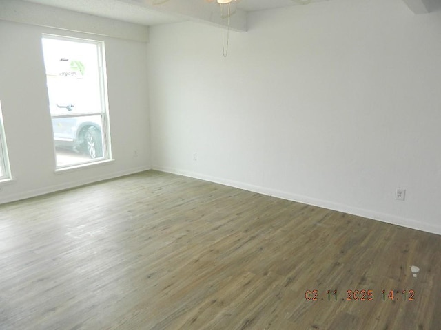 1230 Bernice Dr, Corpus Christi, TX 78412 - spare room featuring plenty of natural light, wood finished floors, ceiling fan, and baseboards