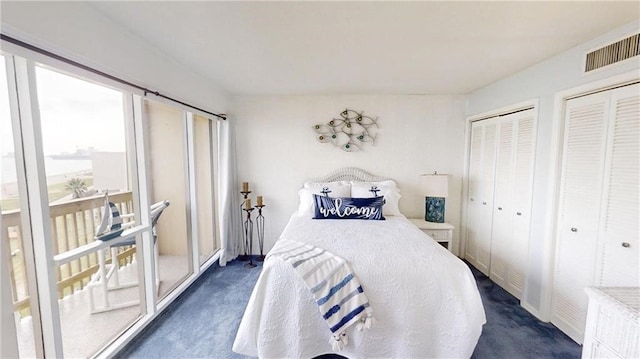 carpeted bedroom with two closets