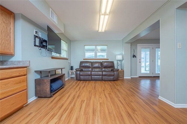 living room with light hardwood / wood-style floors and a healthy amount of sunlight