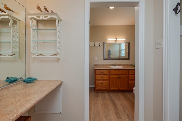 bathroom featuring wood-type flooring and vanity