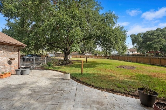 view of yard featuring a patio area