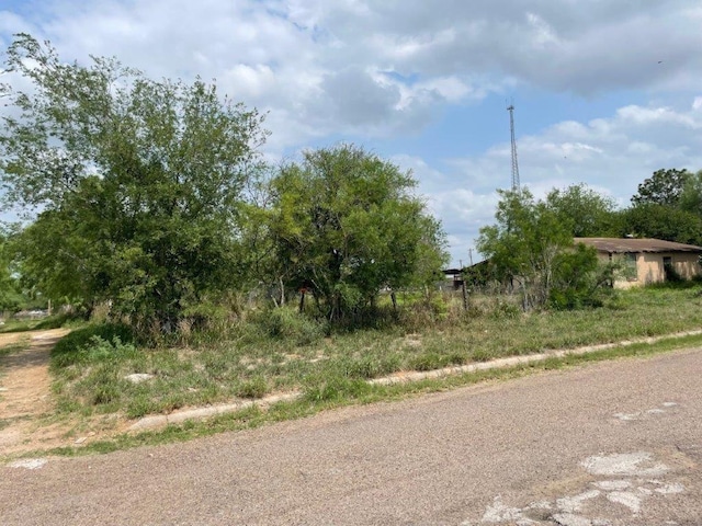 301 E Thompson St, Hebbronville, TX 78361 - photo 9