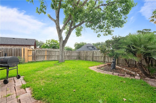 3029 White Bird Dr, Corpus Christi, TX 78415 - view of yard