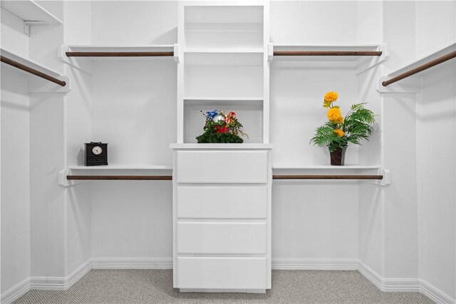 6930 Anastasia, Corpus Christi, TX 78413 - spacious closet with light colored carpet