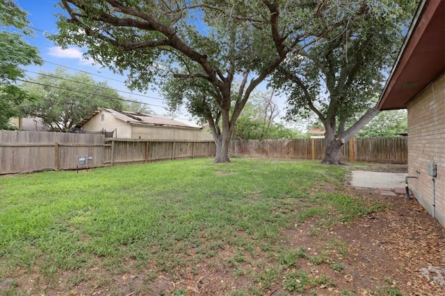 4113 Sierra St, Corpus Christi, TX 78410 - view of yard