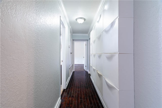 hallway with crown molding and dark hardwood / wood-style flooring