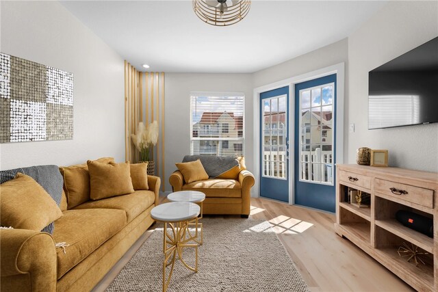 living room featuring light hardwood / wood-style flooring