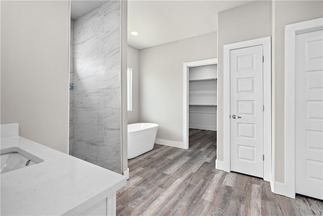 15501 Cruiser St Unit A, Corpus Christi, TX 78418 - bathroom with vanity, a freestanding bath, wood finished floors, and a spacious closet