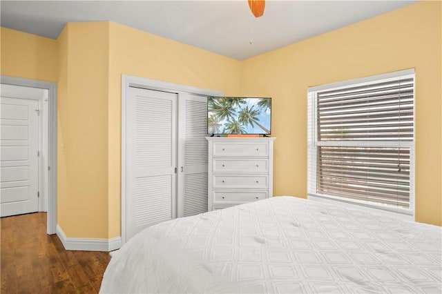 bedroom featuring hardwood / wood-style flooring, a closet, and ceiling fan