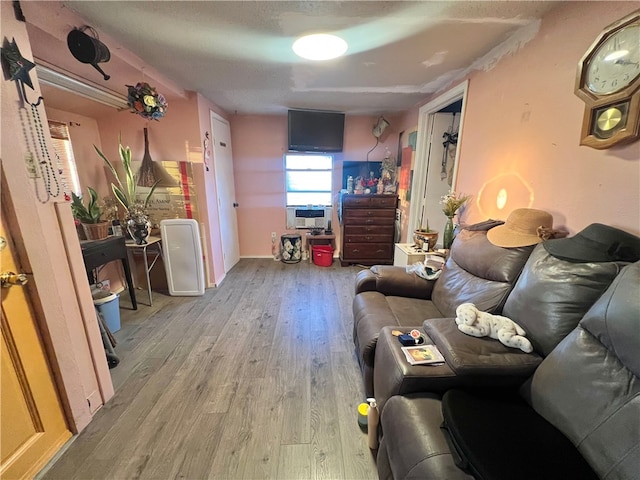 living room with light hardwood / wood-style floors