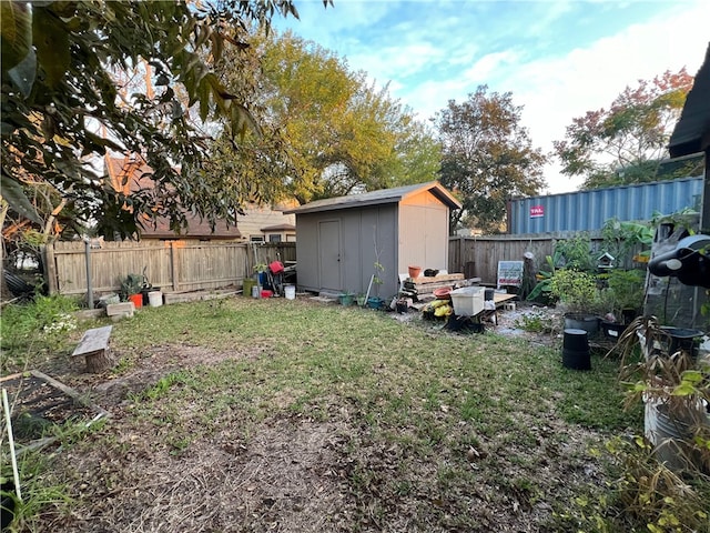 view of yard with a storage unit