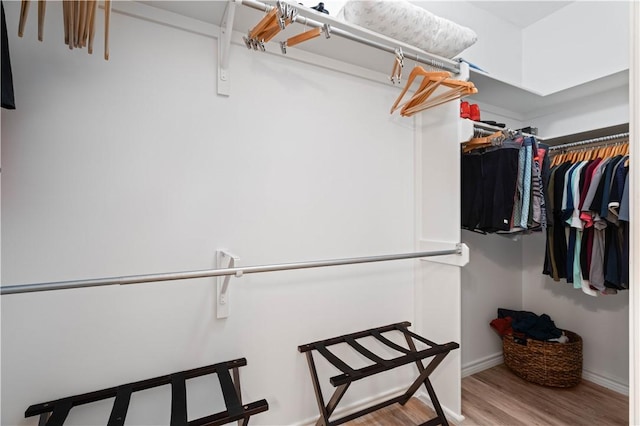 walk in closet featuring wood finished floors