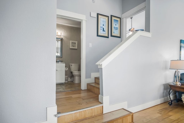 staircase featuring hardwood / wood-style floors and ceiling fan