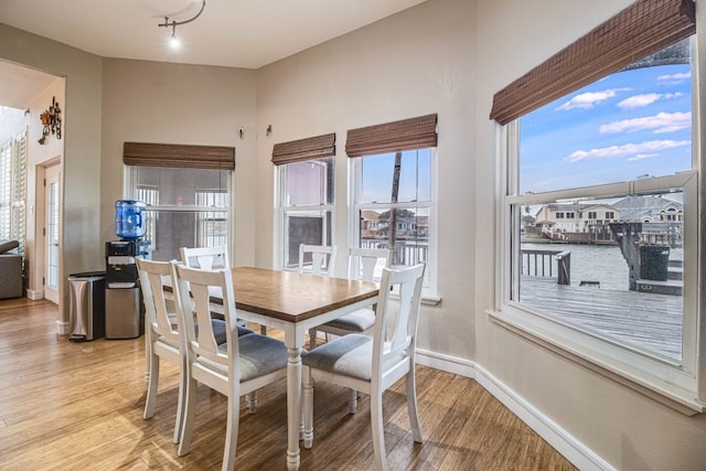 dining room featuring light hardwood / wood-style flooring and a wealth of natural light