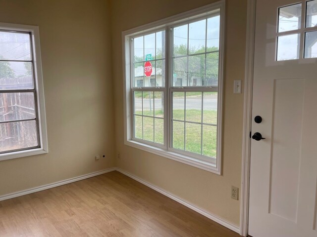 entryway featuring plenty of natural light and light hardwood / wood-style flooring