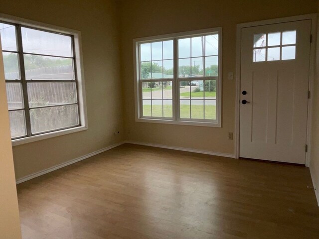 entryway featuring a wealth of natural light and light hardwood / wood-style floors