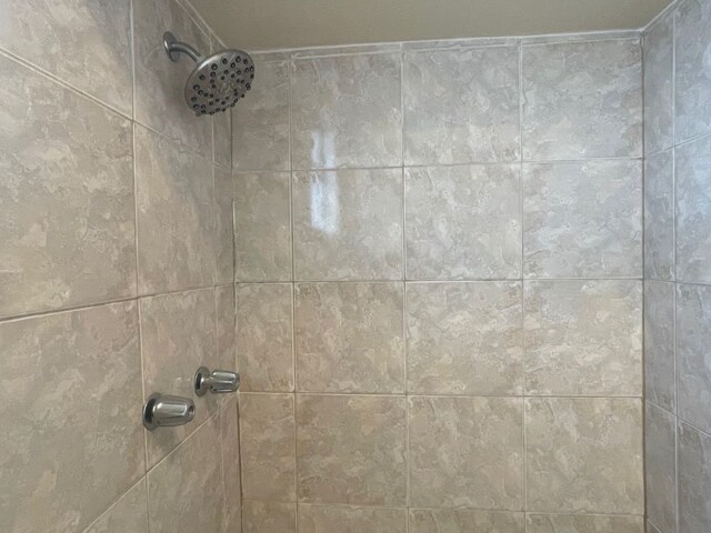 room details with a tile shower