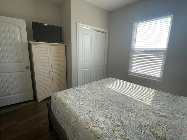 bedroom featuring a closet and dark wood-type flooring