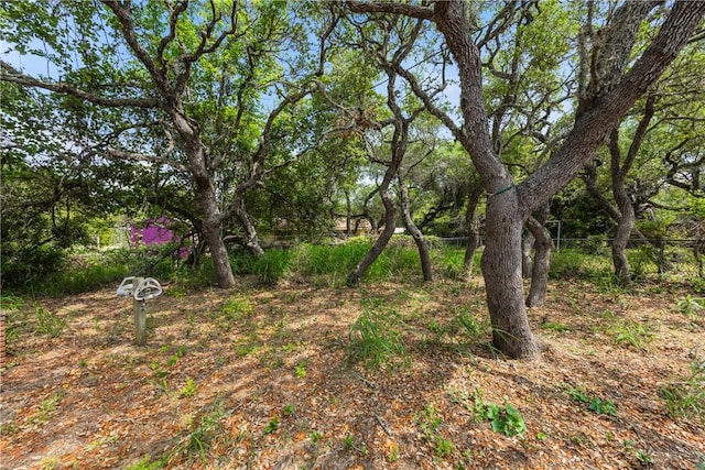 1325 S Whitney St, Aransas Pass, TX 78336 - exterior space
