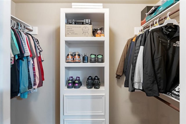 view of spacious closet