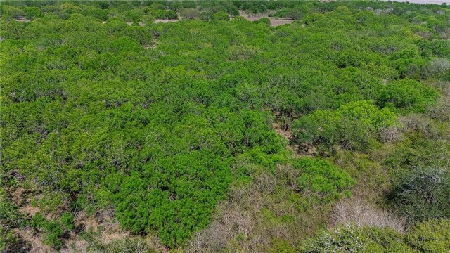00 Fm 666th Dr, Robstown, TX 78380 - photo 12