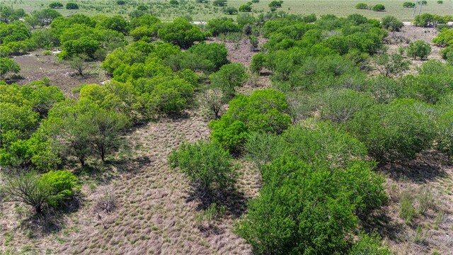 00 Fm 666th Dr, Robstown, TX 78380 - photo 10