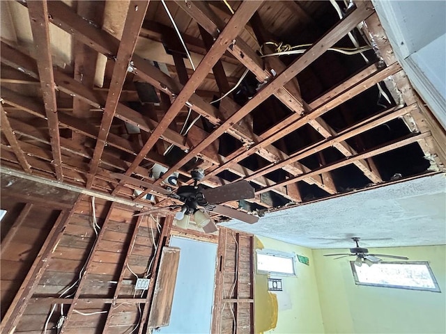 interior details with ceiling fan