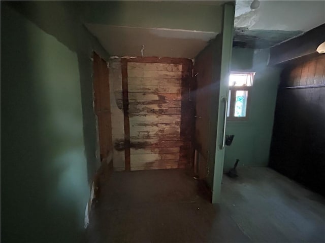 basement with wood walls