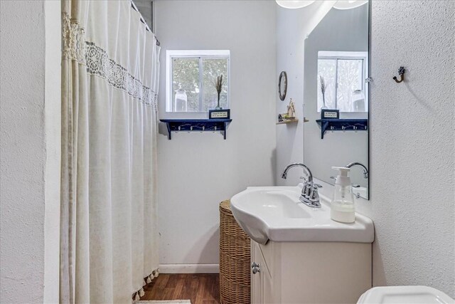 195 Carmel Dr, Sandia, TX 78383 - bathroom featuring wood finished floors, vanity, and toilet