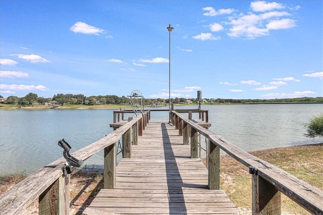 dock area with a water view