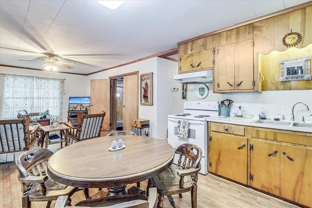 195 Carmel Dr, Sandia, TX 78383 - kitchen with electric range, a sink, under cabinet range hood, light wood-type flooring, and crown molding