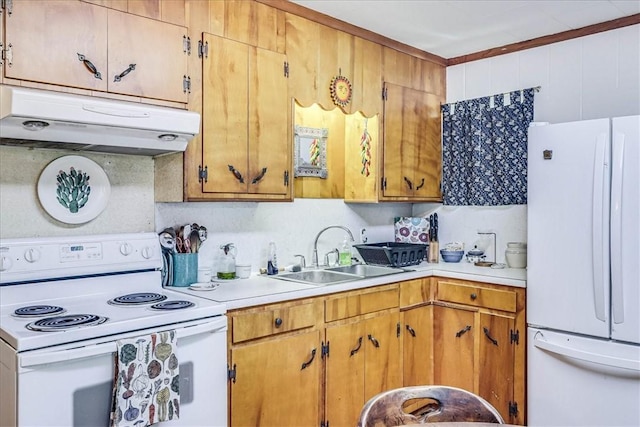 195 Carmel Dr, Sandia, TX 78383 - kitchen featuring white appliances, under cabinet range hood, a sink, and light countertops