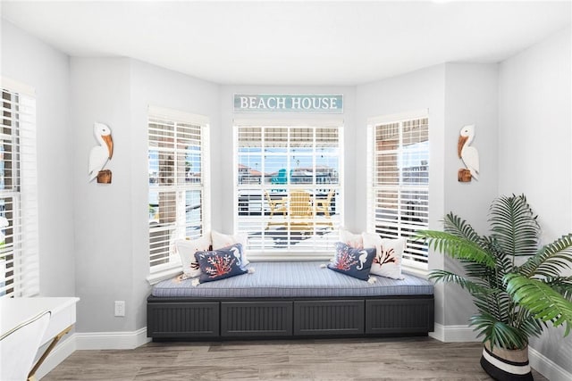 mudroom with baseboards and wood finished floors