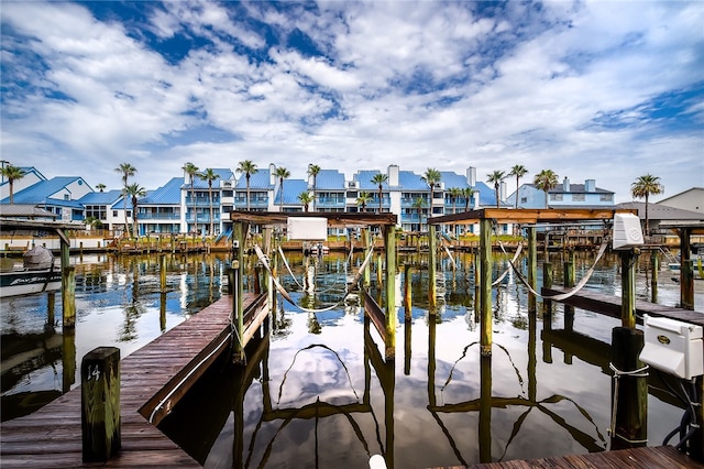 dock area with a water view