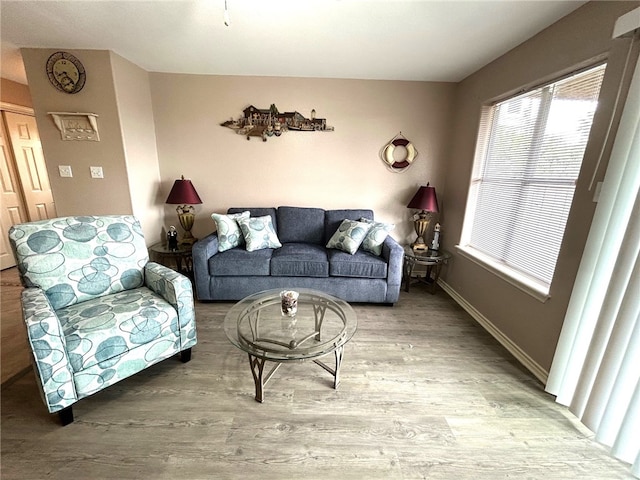 living room with wood-type flooring